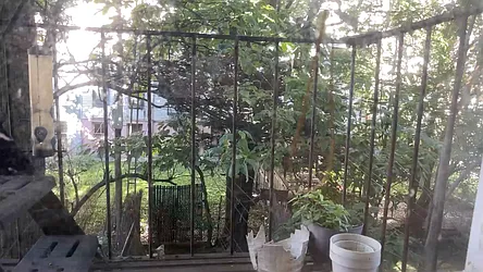 Rented by Terra Magia Inc