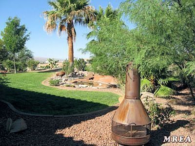 Spacious Back Yard
