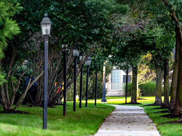 Lighting the Way to Luxury