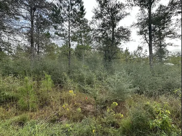 9 Stone Forest Trl Lot 9, Mc Henry, MS 39561