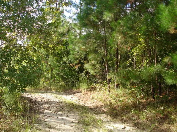 6 Parkers Ferry Rd, Adams Run, SC 29426