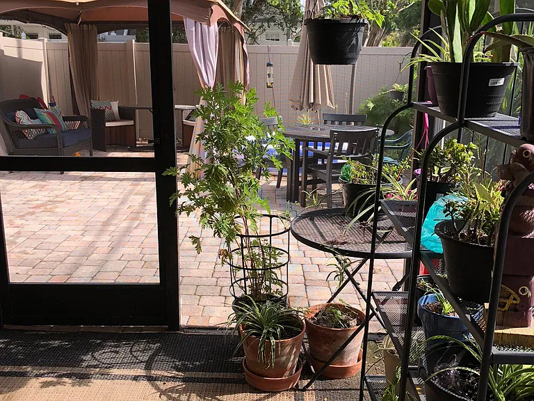 Patio/Backyard
