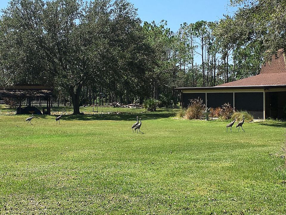 2nd image of 7011 Saddle Creek Cir