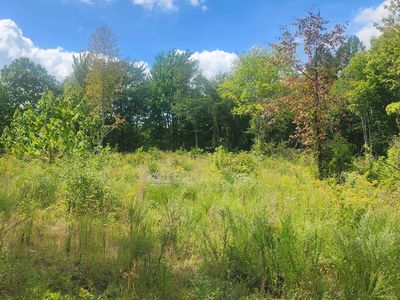 Clifty Crescent Rd, Winfield, TN, 37892