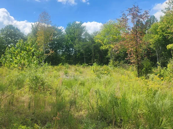 Clifty Crescent Rd, Winfield, TN 37892