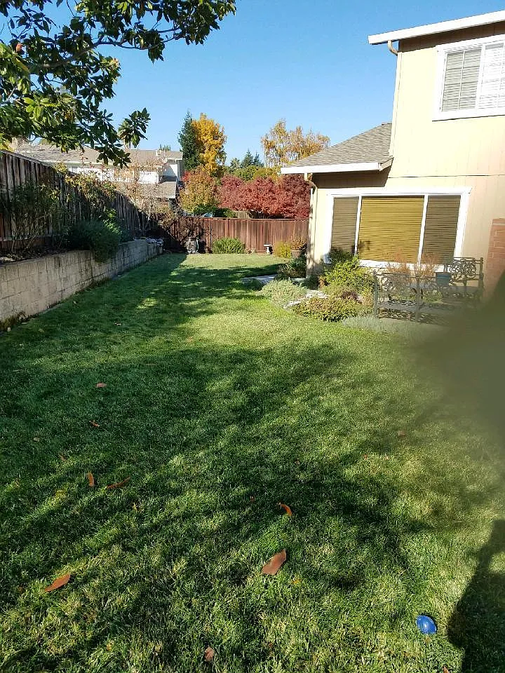 3 bed, 2.5 bath, 1470 sqft, $4,050 — Photo 3