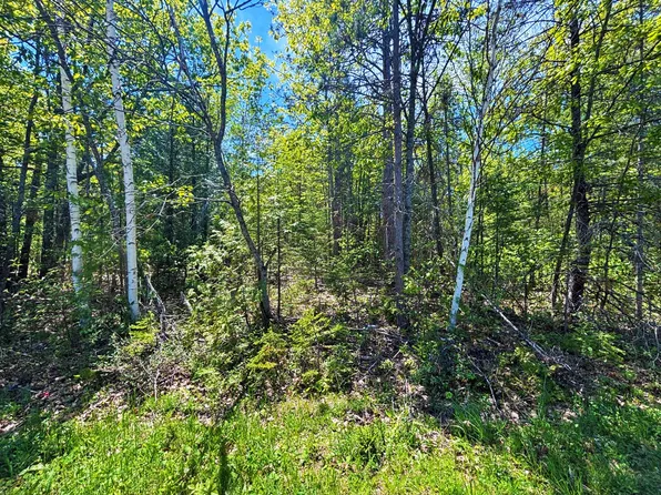 LOT 148 Pineview Dr, Presque Isle, MI 49777