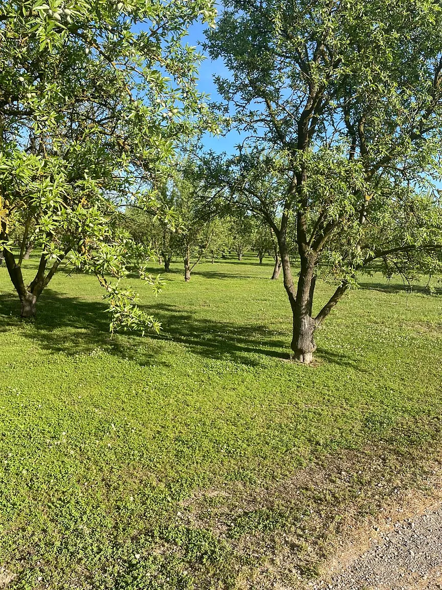 17576 E State Highway 120 photo 1