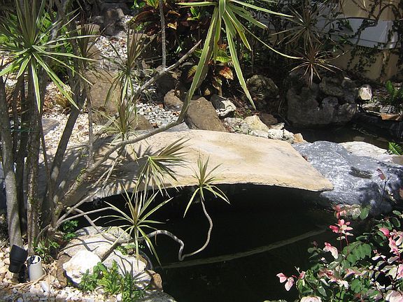 Bridge to the front door