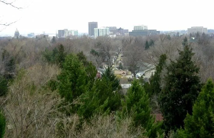 2 bed, 800 sqft, $1,300 — Photo 2