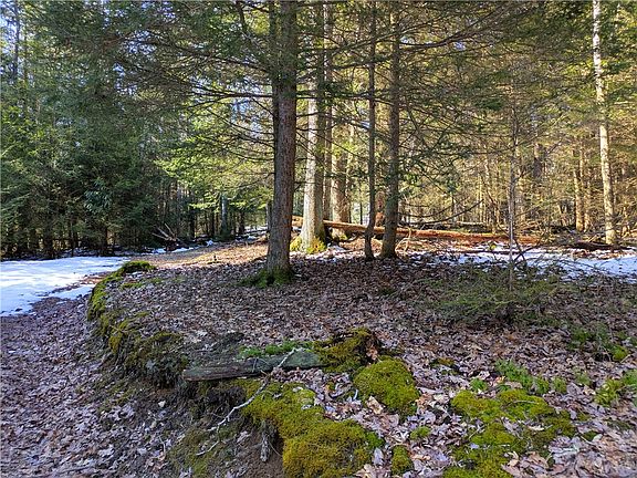 2nd image of 160 Mill Run School Rd