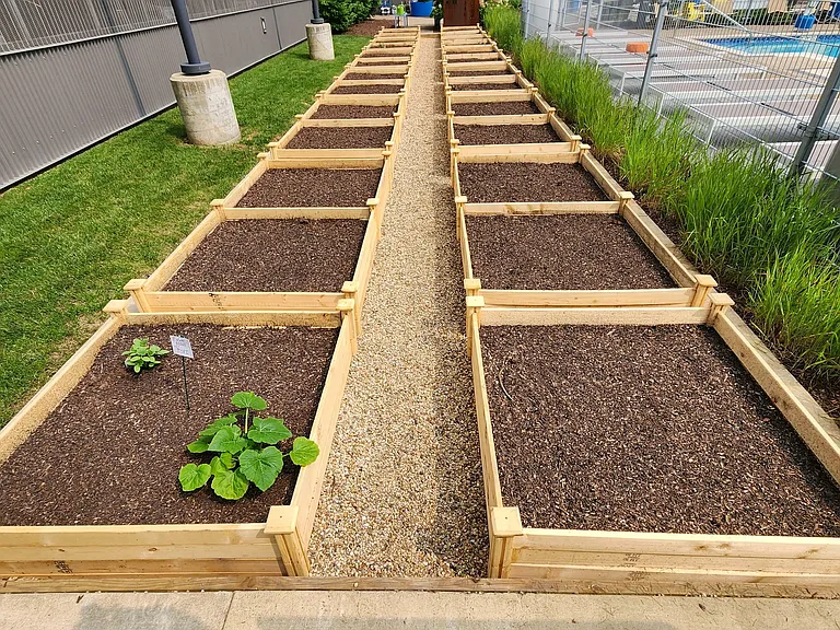 Communal Garden