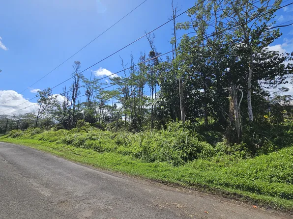 15-1958 23rd Ave Lot 1121, Keaau, HI 96749