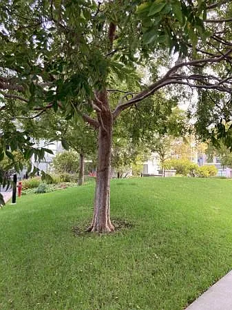 420 Mission Bay Blvd N #409 — Photo 21