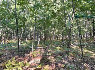 V/l Old Free Soil Rd #2272, Free Soil, MI 49411