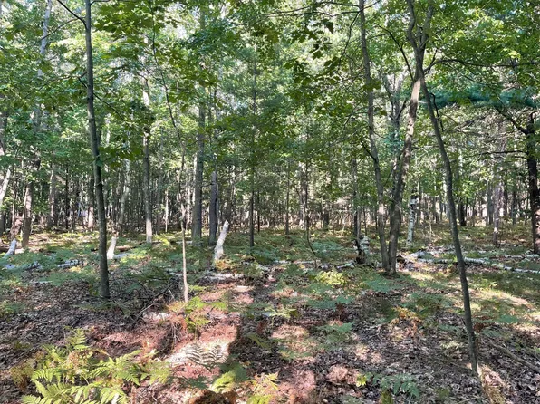 V/l Old Free Soil Rd #2272, Free Soil, MI 49411