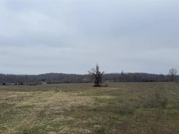 1 Ripley Route Z #Z4, Gatewood, MO 63942