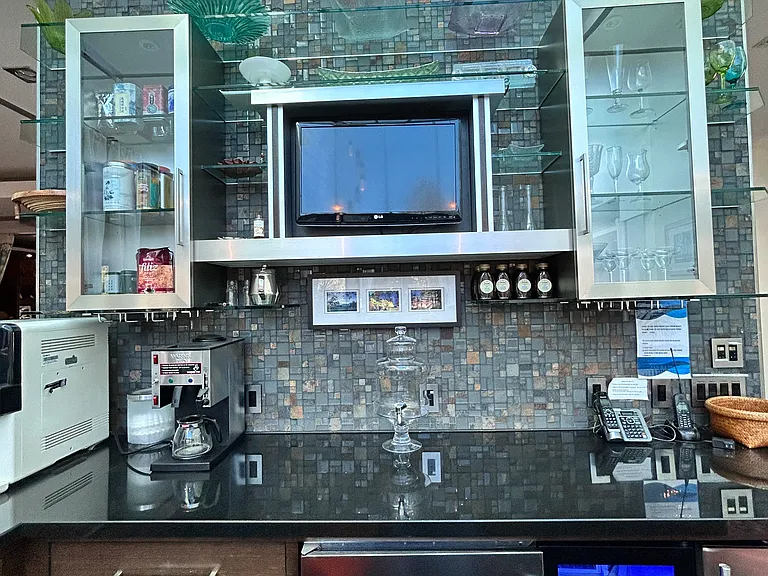 bar with dishwasher, filtered Ambien water and ion water, wine cooler, ice machine, refrigorator, coffee machine, micro wave, TV