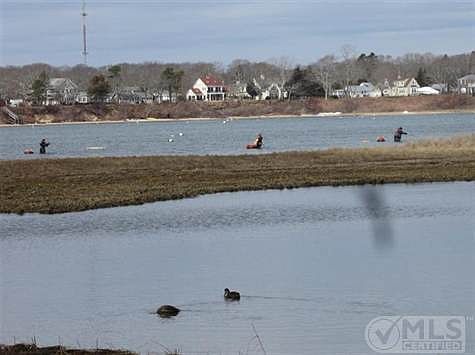 At the end of the street looking at Great Pond....the essence of Cape Cod.