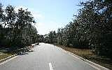 1st image of Amelia Park Tract #C