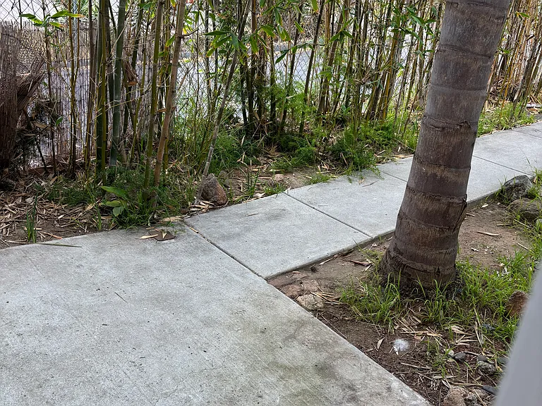Vale View Dr — Photo 25