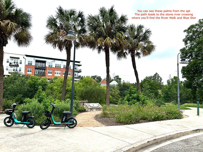 These palm trees a can be seen from the apt 1 block away- leads to stone crossing