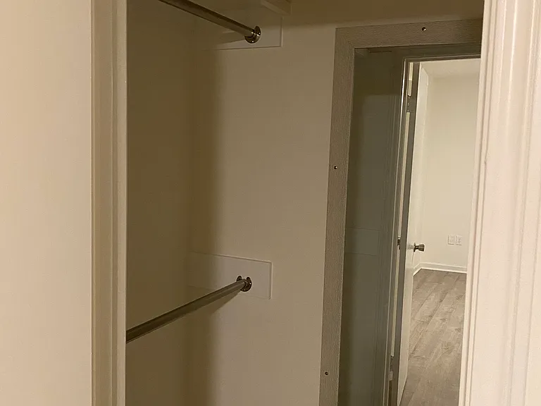 Second bedroom closet _ walk-in closet with light and mirror