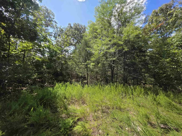 L20b5 Canute Dr, Cherokee Village, AR 72529