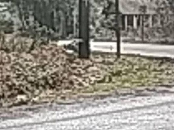 5th image of 49101 Sauk Prairie Rd