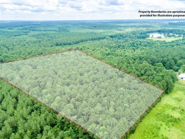 255/ACRE S Canty Rayborn Rd, Sumrall, MS 39482
