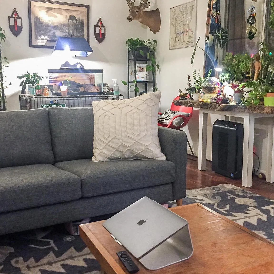 2 bed, 1.5 bath, $1,695 — Photo 3