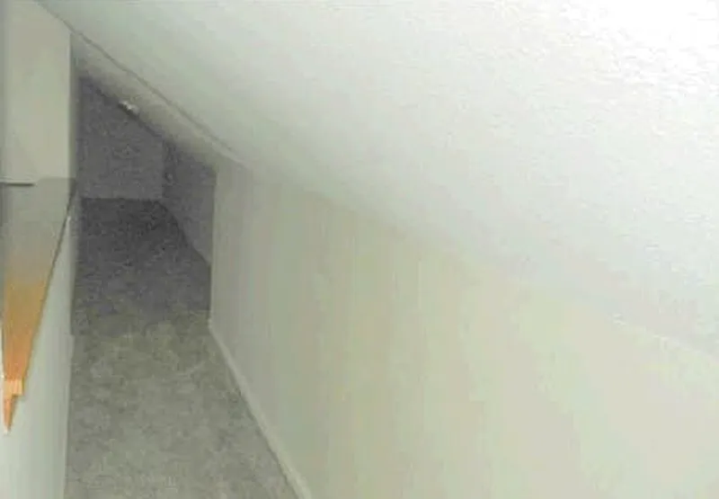 Thumbnail 20