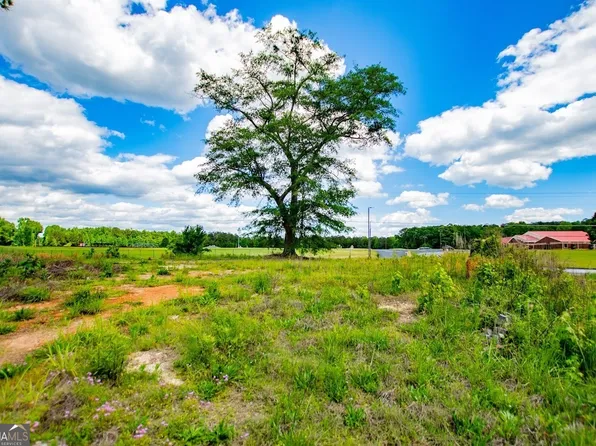 164 N Jonesville Rd, Bowdon, GA 30108