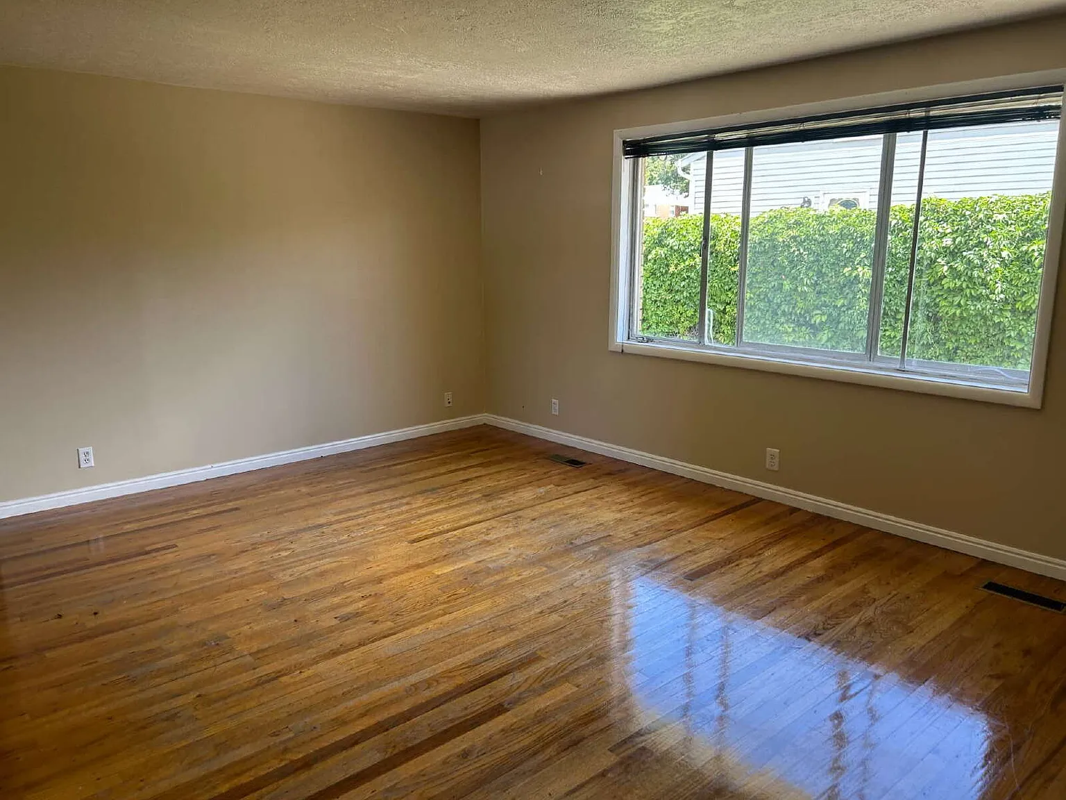 3 bed, 1.0 bath, $1,650 — Photo 3