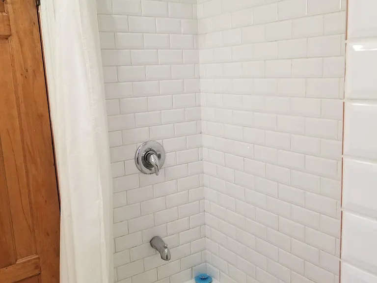 5ft tub with shower