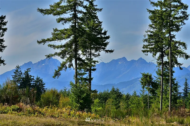 Thumbnail 16