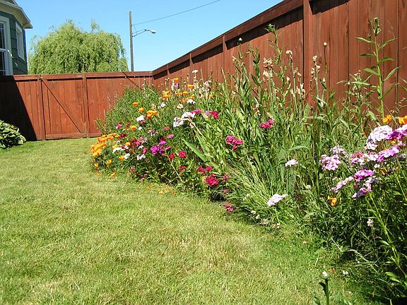 Fully Fenced Back Yard