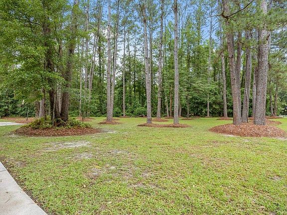 5th image of 7883 McClure Dr