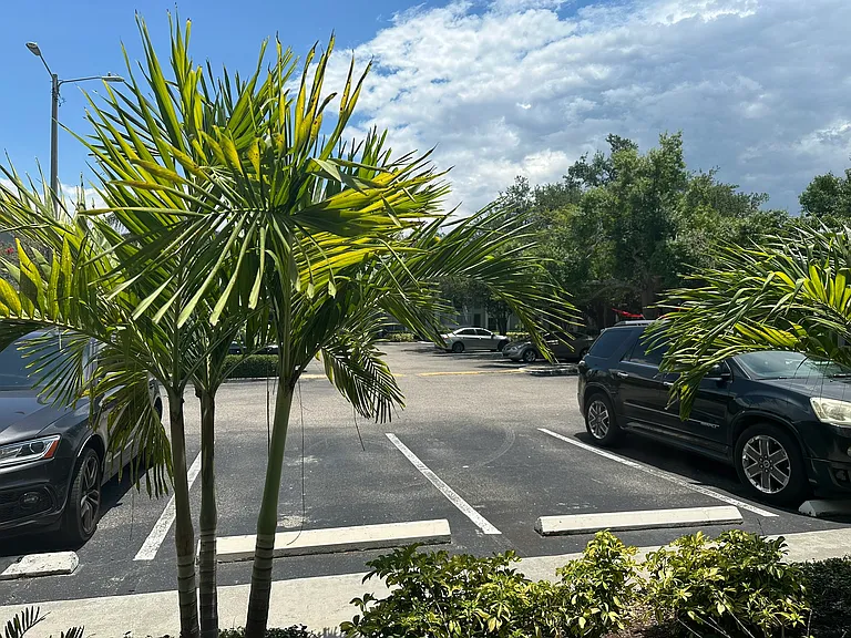 5440 S Macdill Ave #1C — Photo 29