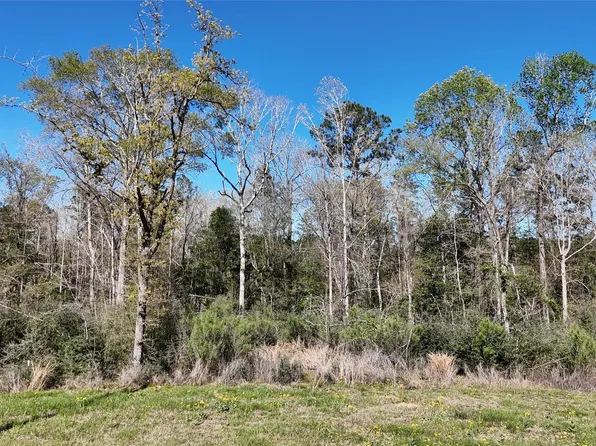 8 & 9 Aggie Ave, Livingston, TX 77351