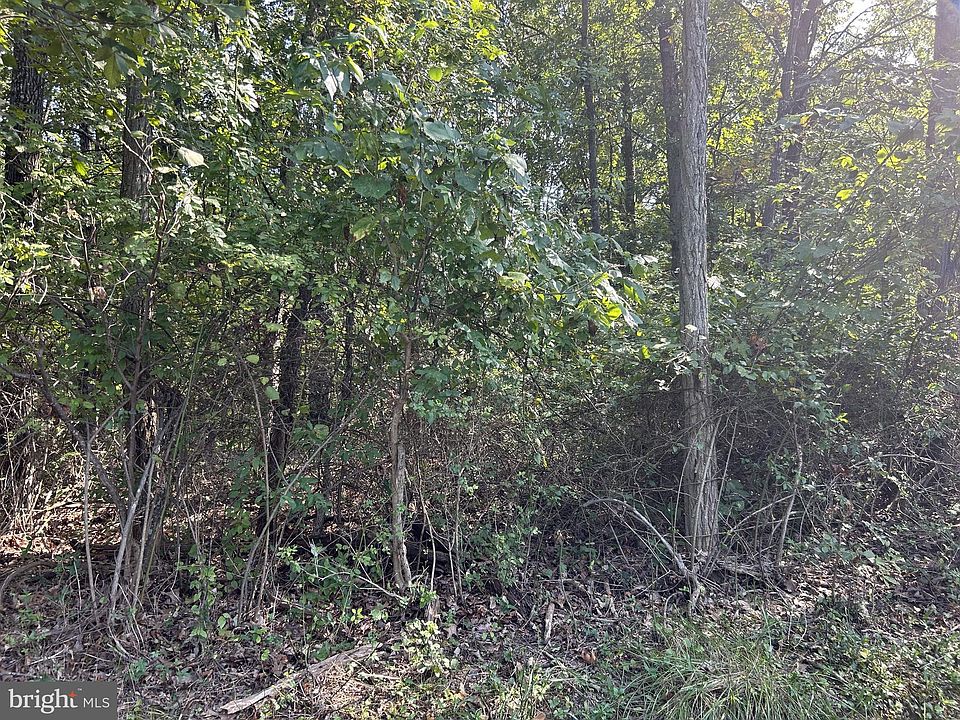 2nd image of Sleepy Creek Rd