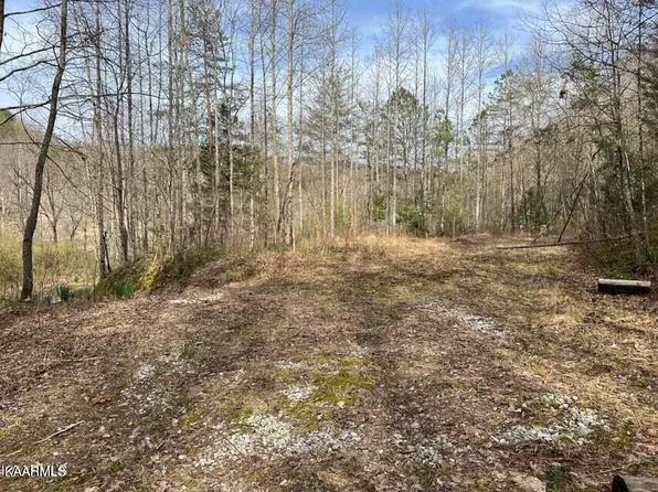 Roses Creek Rd Lot B, Clairfield, TN 37715