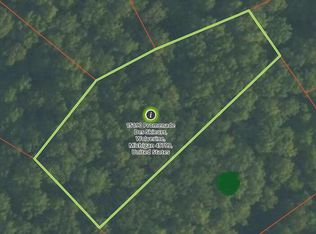 15190 Promenade Des Skieurs, Wolverine, MI 49799