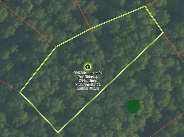 15190 Promenade Des Skieurs, Wolverine, MI 49799