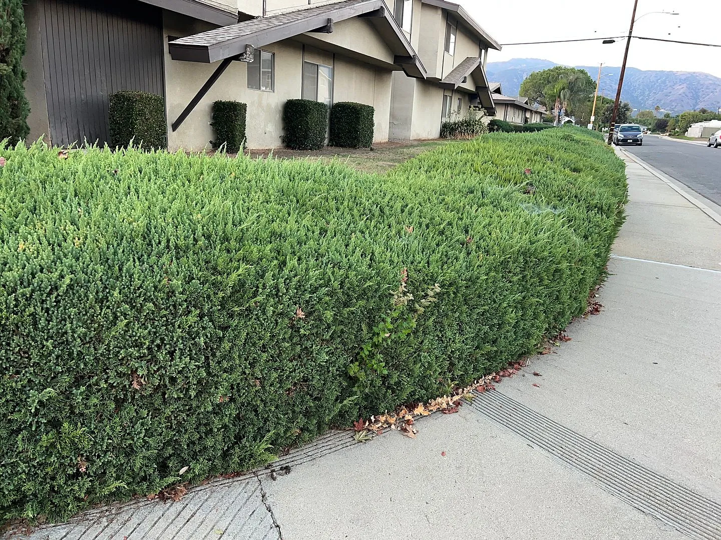 Pattiglen Ave — Photo 1