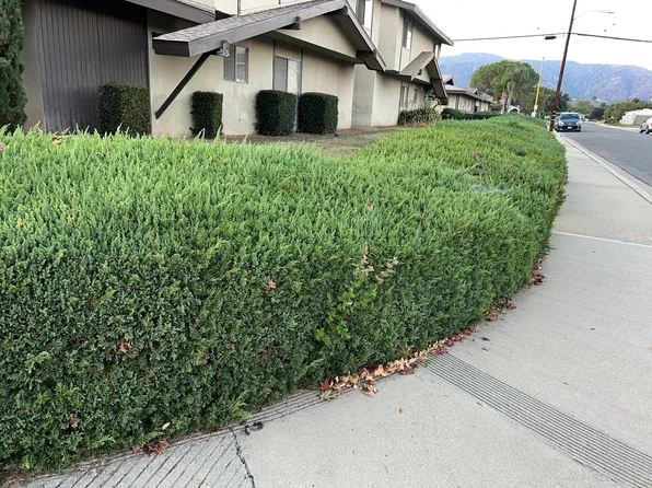 Pattiglen Ave, 2401-2423 N Pattiglen Ave #2409, La Verne, CA 91750