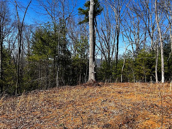 5th image of 107/125 Chestnut Mountain Rd