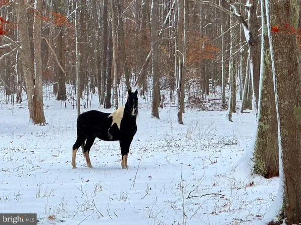 735 Winston Rd, Oakland, MD 21550