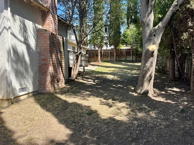 Large back yard with automatic sprinklers