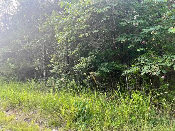 W Sunset Dr, Lead Hill, AR 72644